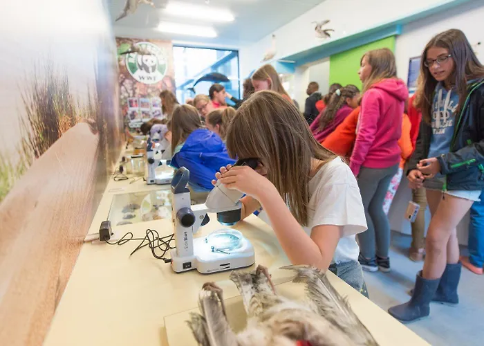 De Ploate אכסניה *